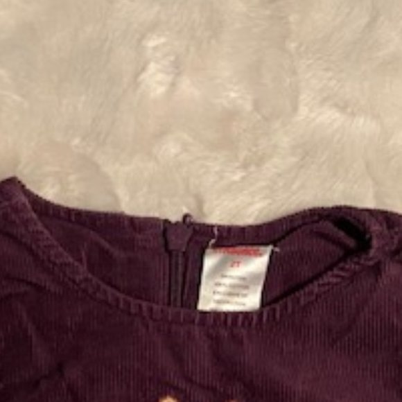Gymboree Girl's Corduroy Jumper Dress Size 2T - Picture 10 of 10